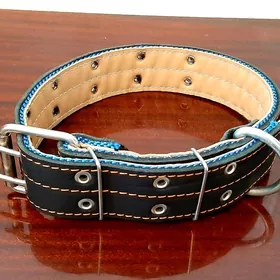 Ошейник. Oşeýnik.