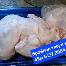 тавук