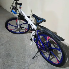 tigir BMW