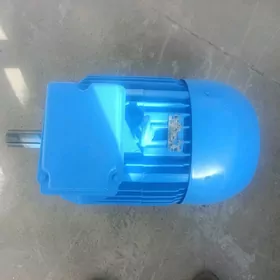 Электродвигатель