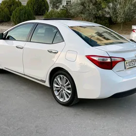 Toyota Corolla 2014