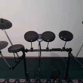 DM-5