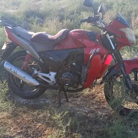 Fekon FK200-14G 2016