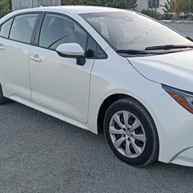 Toyota Corolla 2020