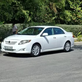 Toyota Corolla 2010