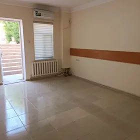 satlyk podwal