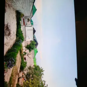 BUZMEYİN AKDASAYAK