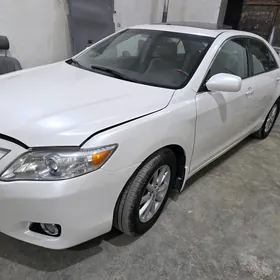 Toyota Camry 2010