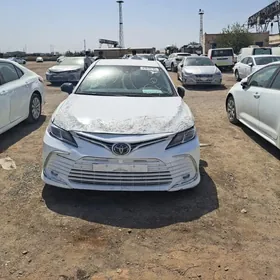 Toyota Camry 2020