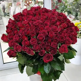 цветы sowgat gul güller roza