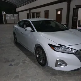 Nissan Maxima 2019