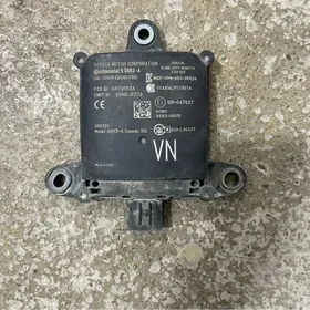 sienna bsm datcik