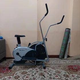Sport velik