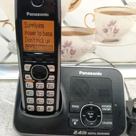 Panasonic