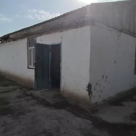Daça satlyk.