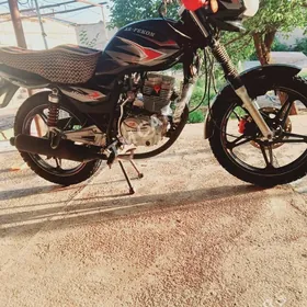 Fekon FK150-8G 2011