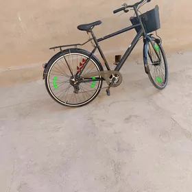 Welik 28