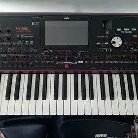 KORG PA1000