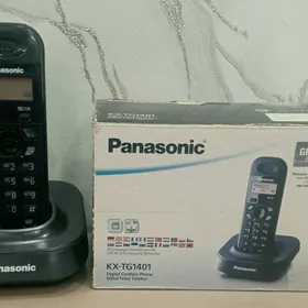 Panasonic