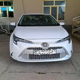 Toyota Corolla 2021