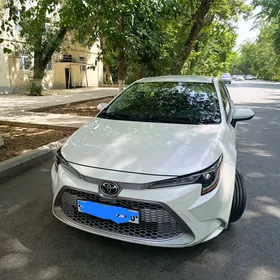 Toyota Corolla 2020