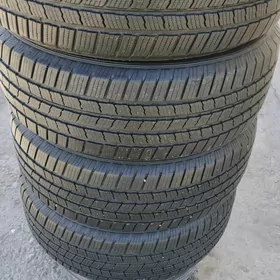 245 55 19 MICHELIN