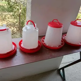 Towuk juyje Suw, iym berilyan