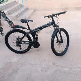 tigir BMW 26