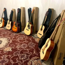 PAKET GITARALAR CEHOL KIRIŞ KO