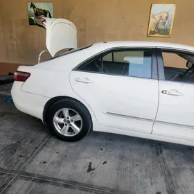 lekus tayota