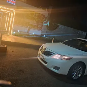Toyota Camry 2010