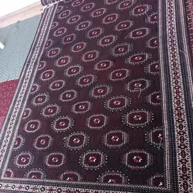 haly pendi
