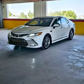 Toyota Camry 2019