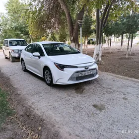 Toyota Corolla 2021