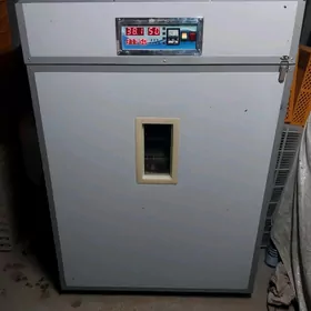 inkubator
