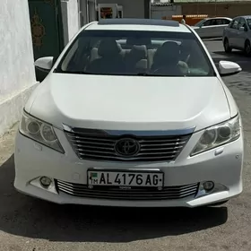 Toyota Aurion 2013