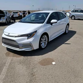 Toyota Corolla 2020