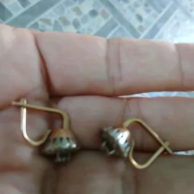 gulakhalka