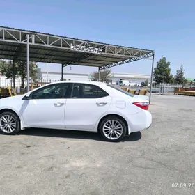 2014 Haliji karolla 17 lik