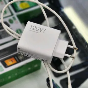 Zaryatnik 120W original