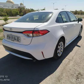 Toyota Corolla 2020