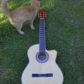 KOMPLE GITARA