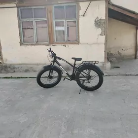 tigir