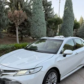 Toyota Camry 2020