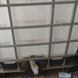 Bocga 1ton