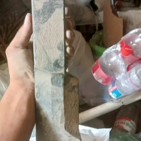 dış