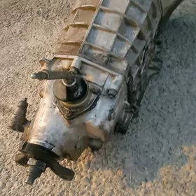 karopga 2106