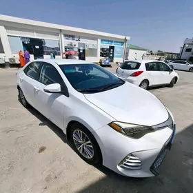 Toyota Corolla 2016