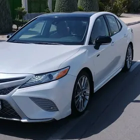 Toyota Camry 2020