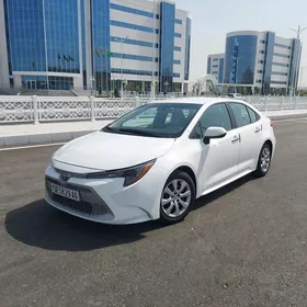 Toyota Corolla 2020